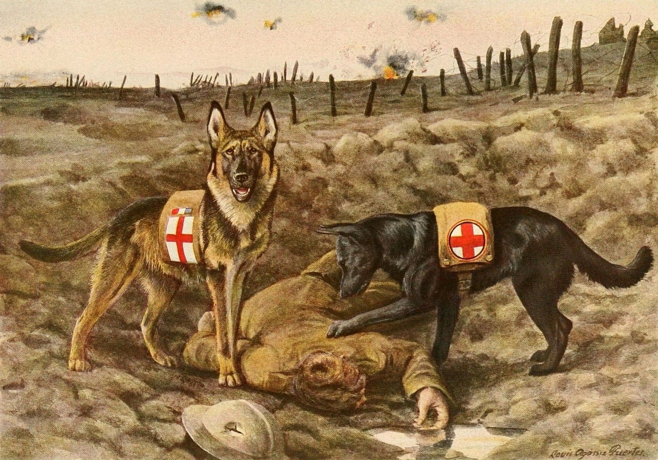 Couverture du quiz La Première Guerre mondiale