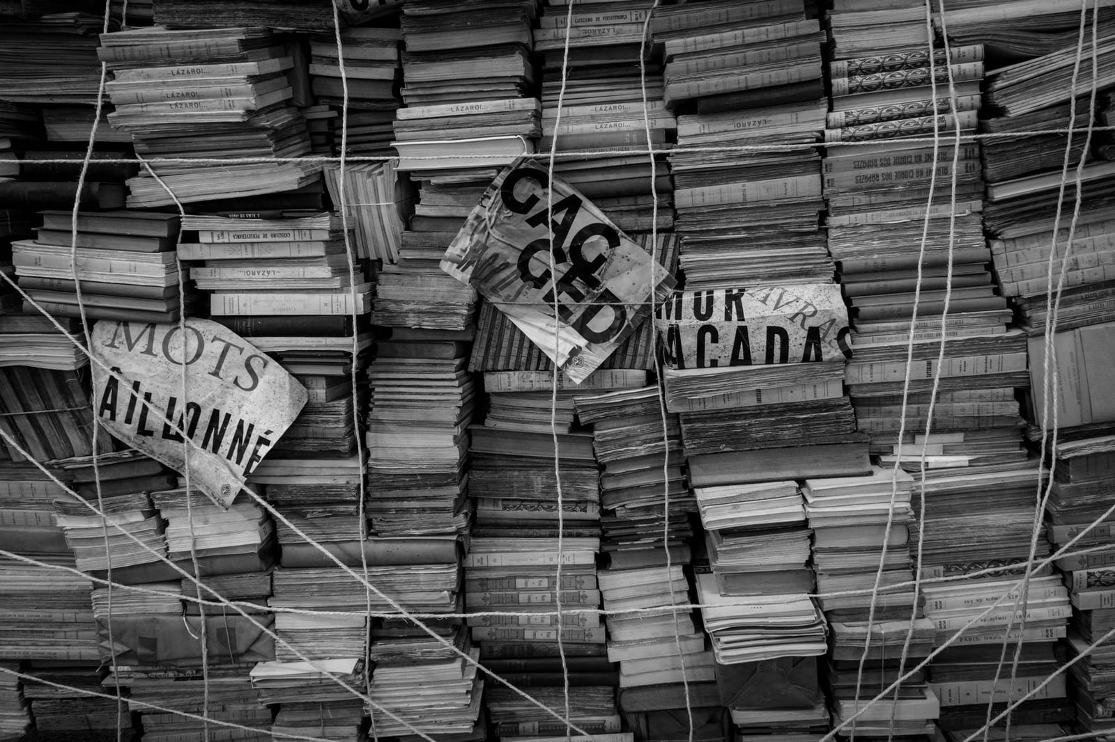 Couverture du quiz Niveaux de langue et sens des mots