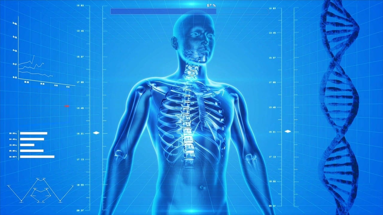 Couverture du quiz Le corps humain et ses systèmes