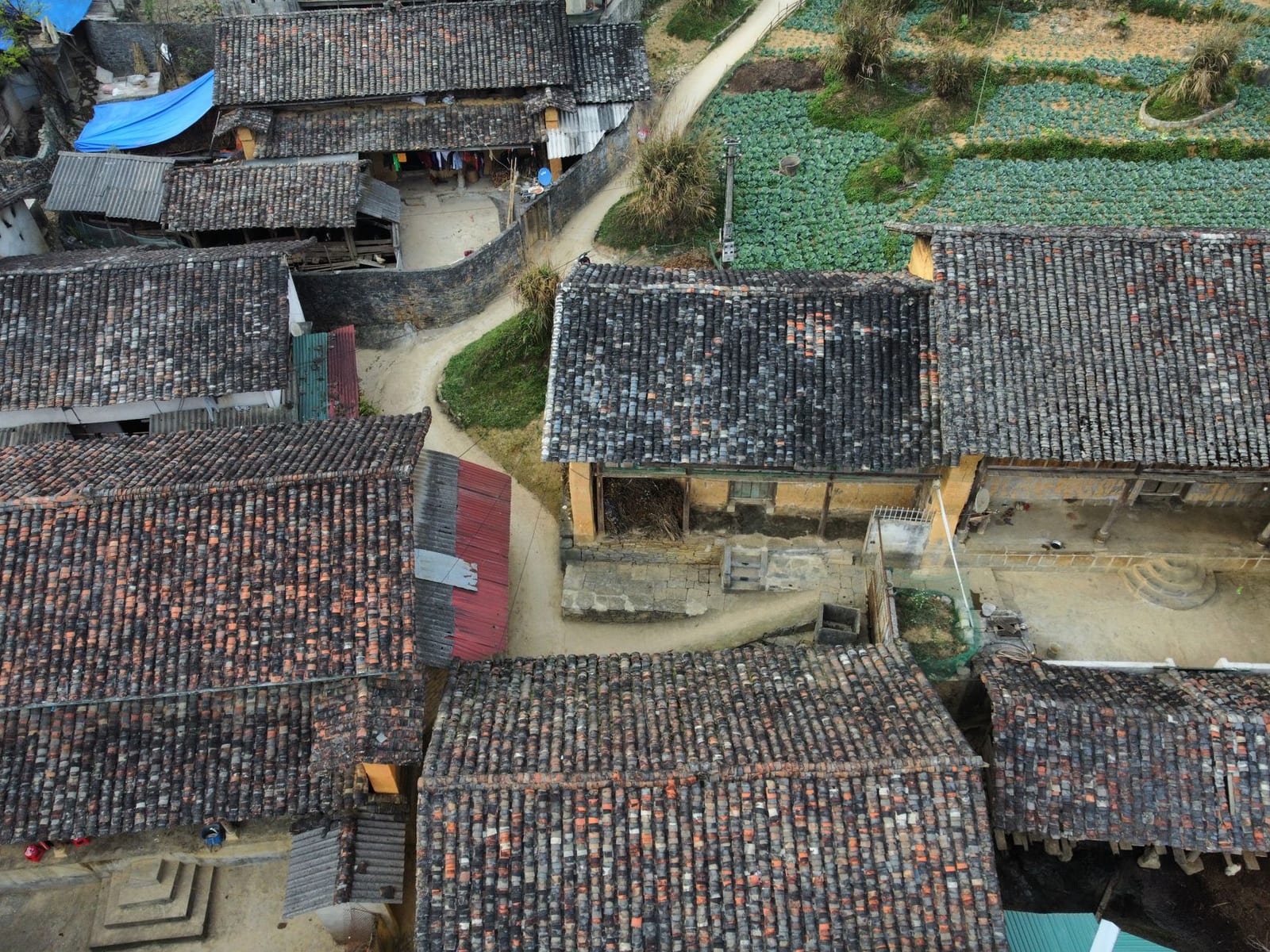 Titelbild des Quiz e oder ä, eu oder äu?