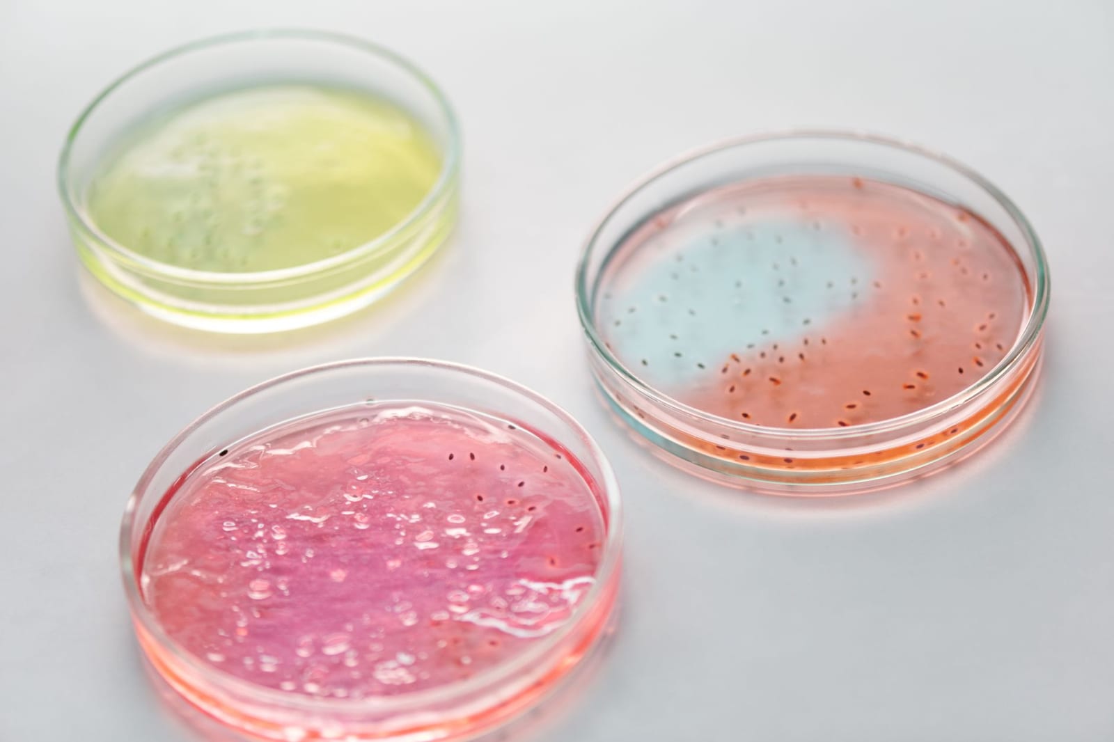 Illustration du Kwiiz Combattre les maladies infectieuses