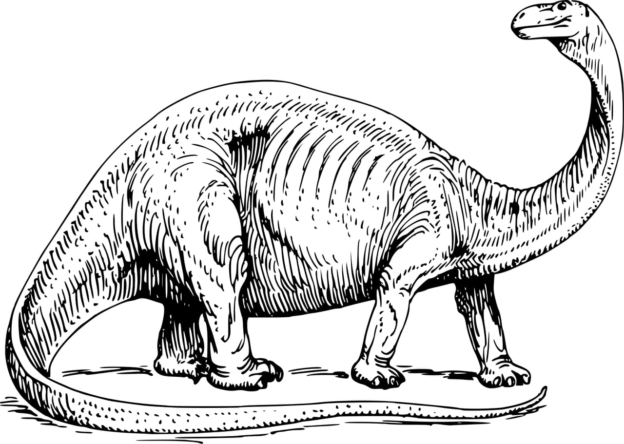 Couverture du quiz Évolution et sélection naturelle