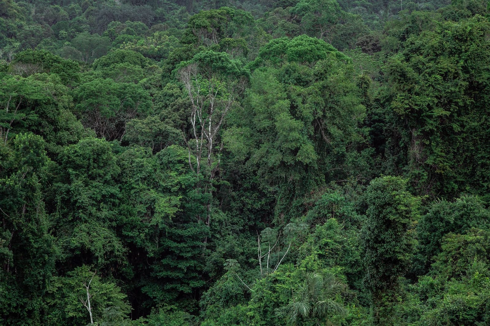 Couverture du quiz Biomes, paysages et milieux