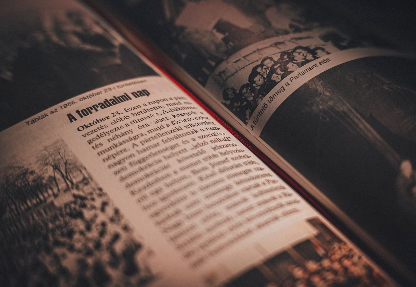 Illustration du Kwiiz Lire un texte documentaire
