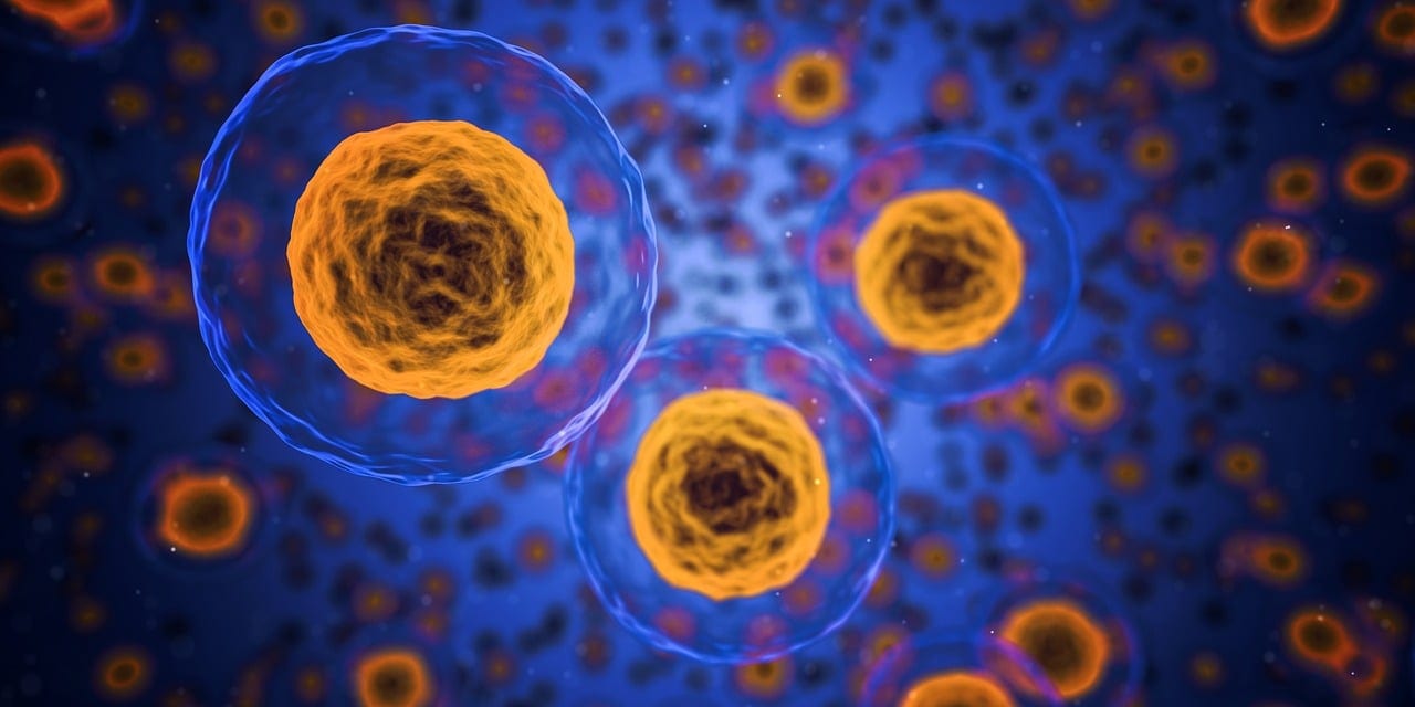 Couverture du quiz La démarche scientifique