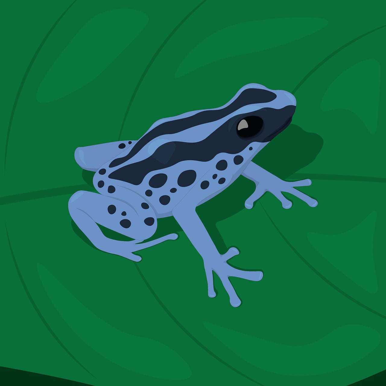 Couverture du quiz Biodiversité et classification du vivant