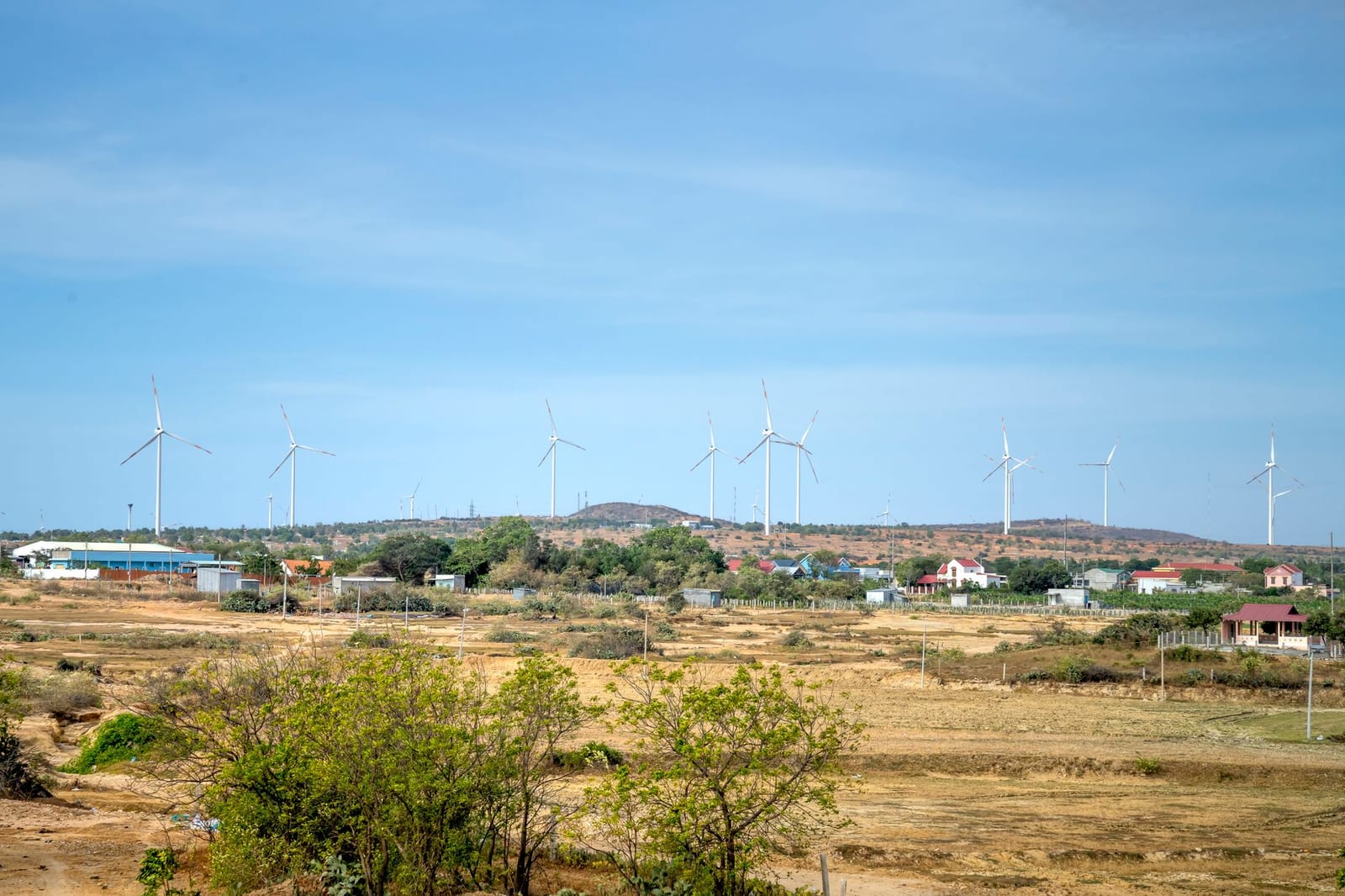 Illustration du Kwiiz Le développement durable