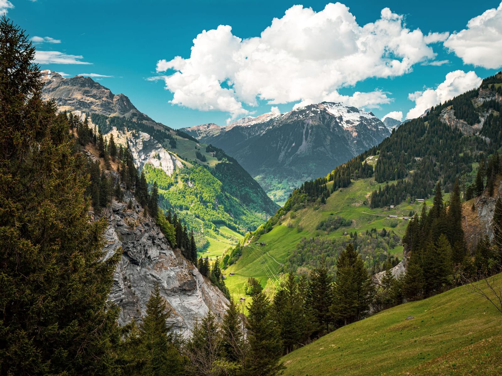 Couverture du quiz les 3 régions naturelles de Suisse
