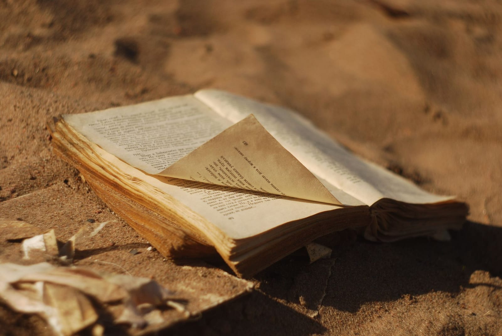 Titelbild des Quiz Eine Buchkritik lesen: Le Petit Prince