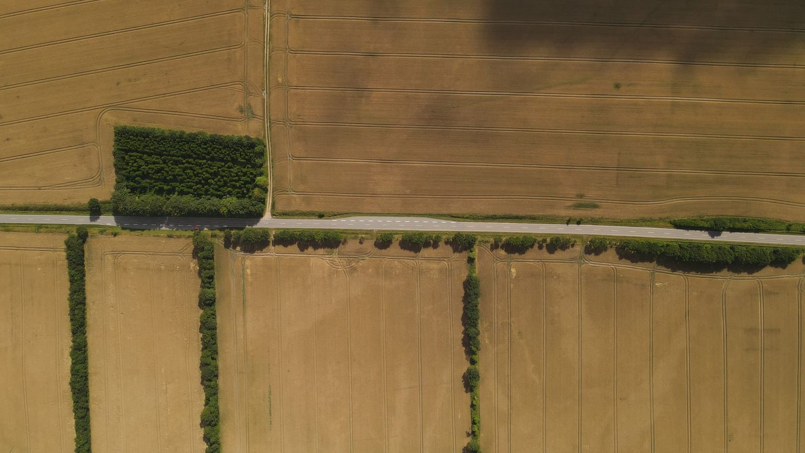 Couverture du quiz Agriculture et sécurité alimentaire