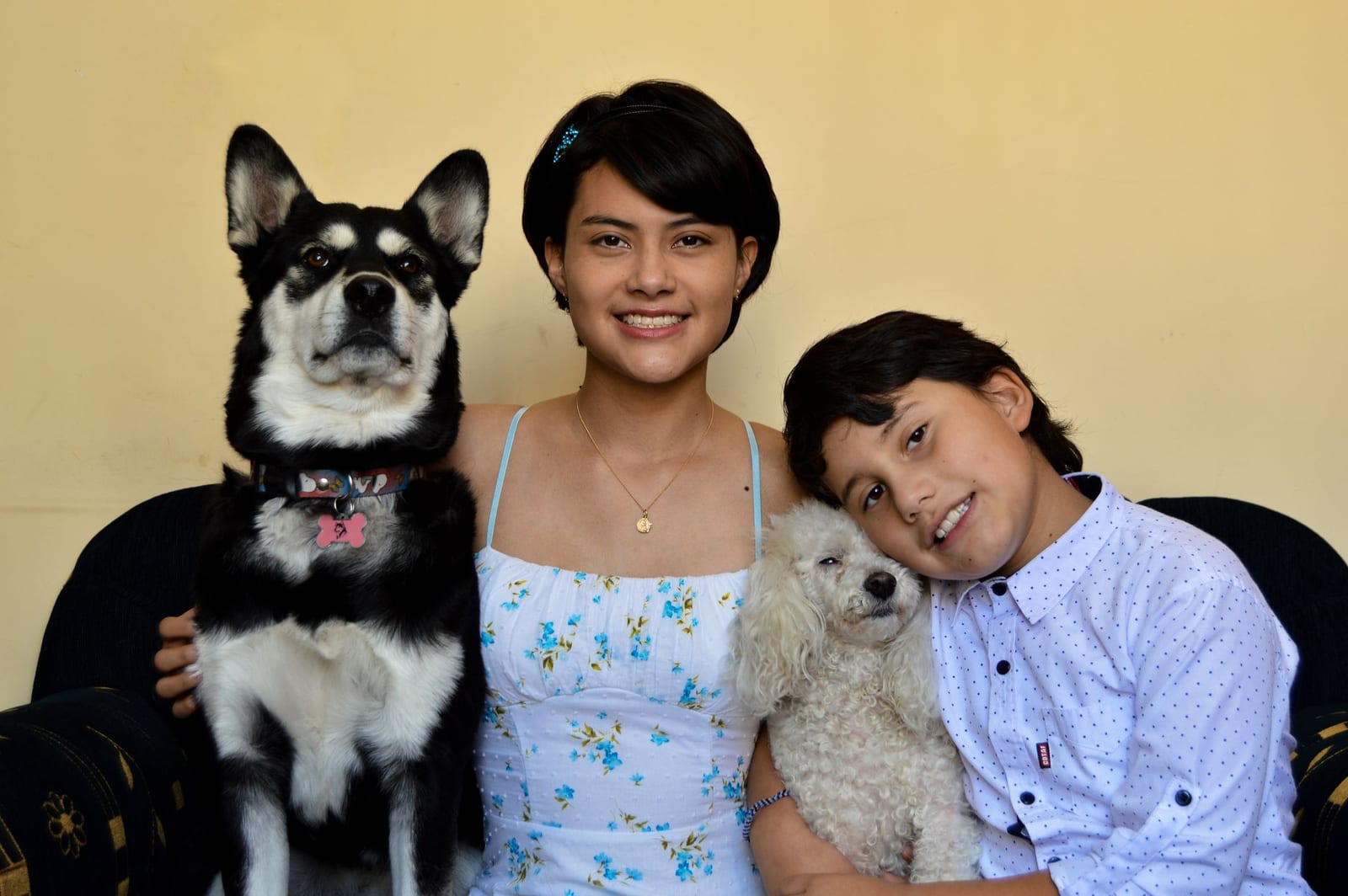 Titelbild des Quiz My family and my pets
