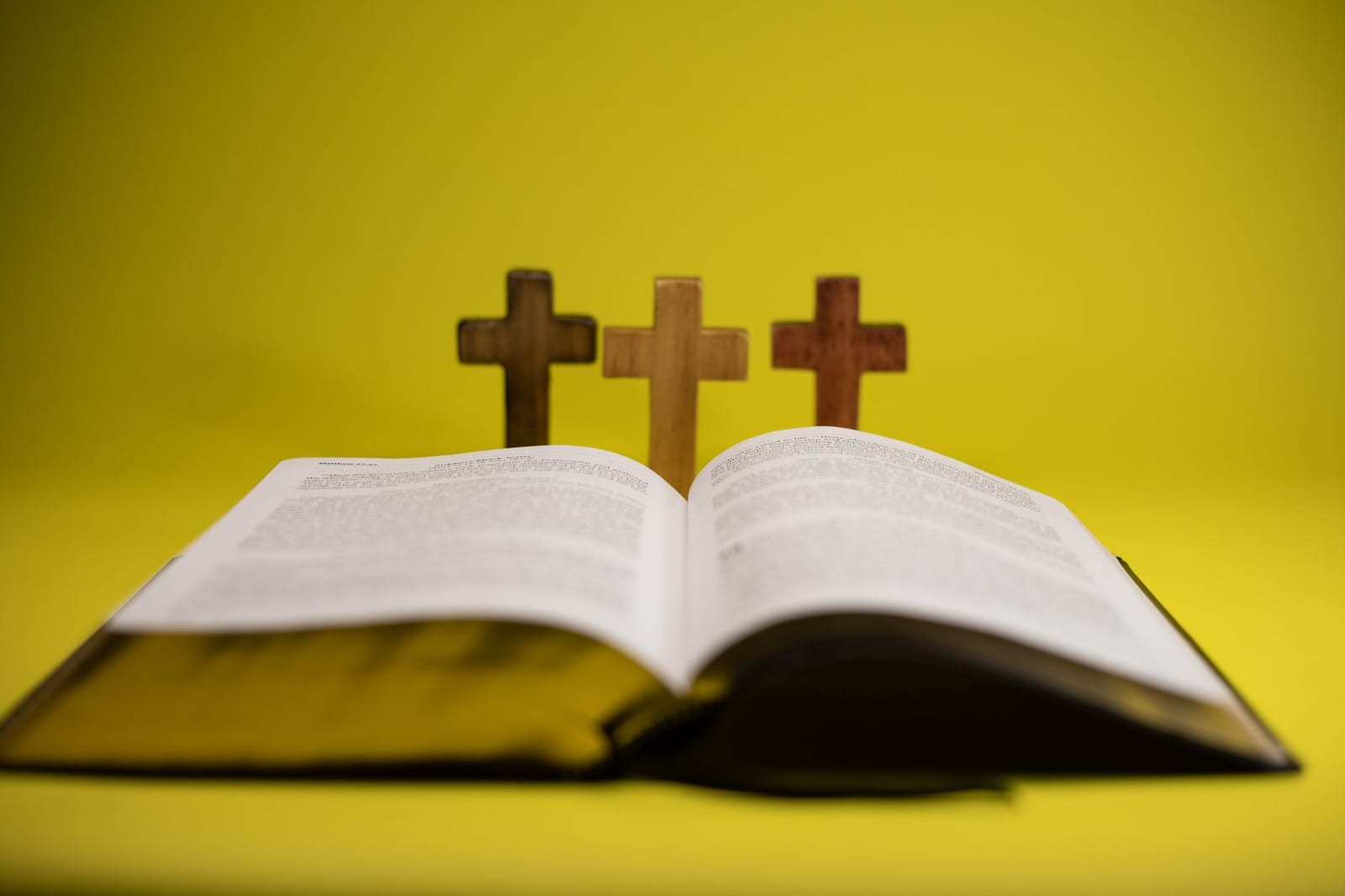 Couverture du quiz Le fait religieux : approche scientifique