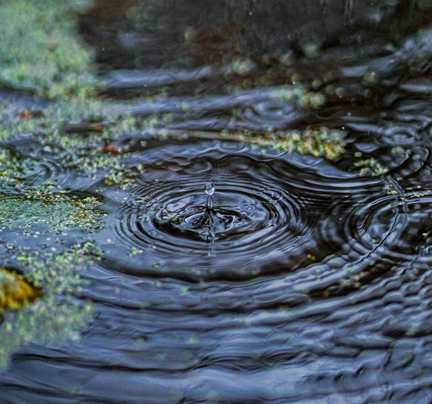 Couverture du quiz Les états de la matière et le cycle de l'eau