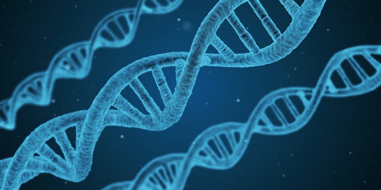 Couverture du quiz Génétique moléculaire et biotechnologies