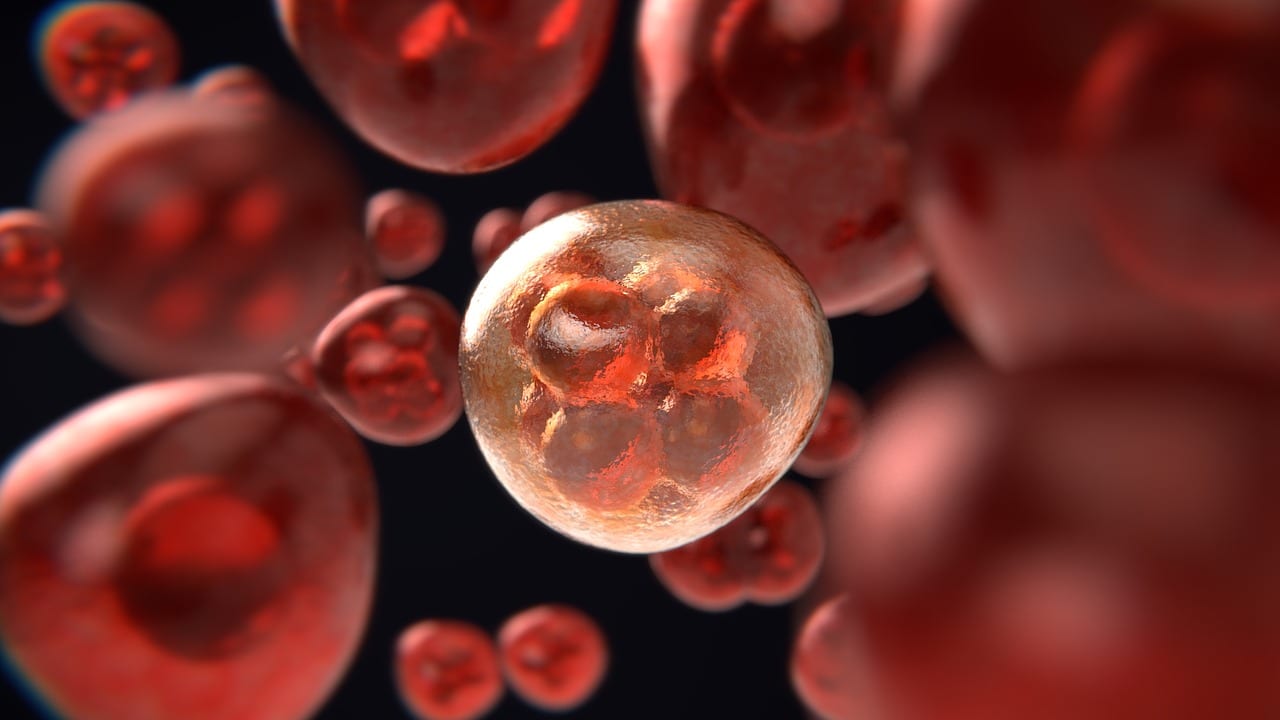Illustration du Kwiiz Le vivant : cellules, écosystèmes et ADN