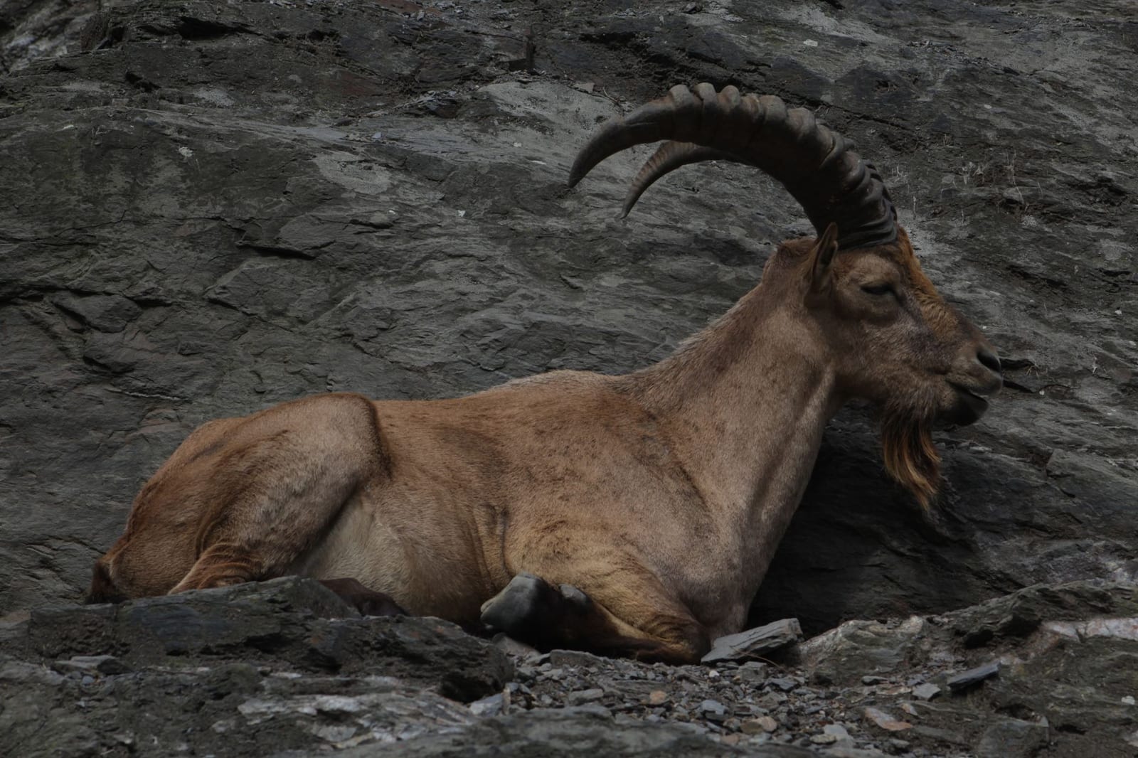 Illustration du Kwiiz Vivre au-dessus des forêts