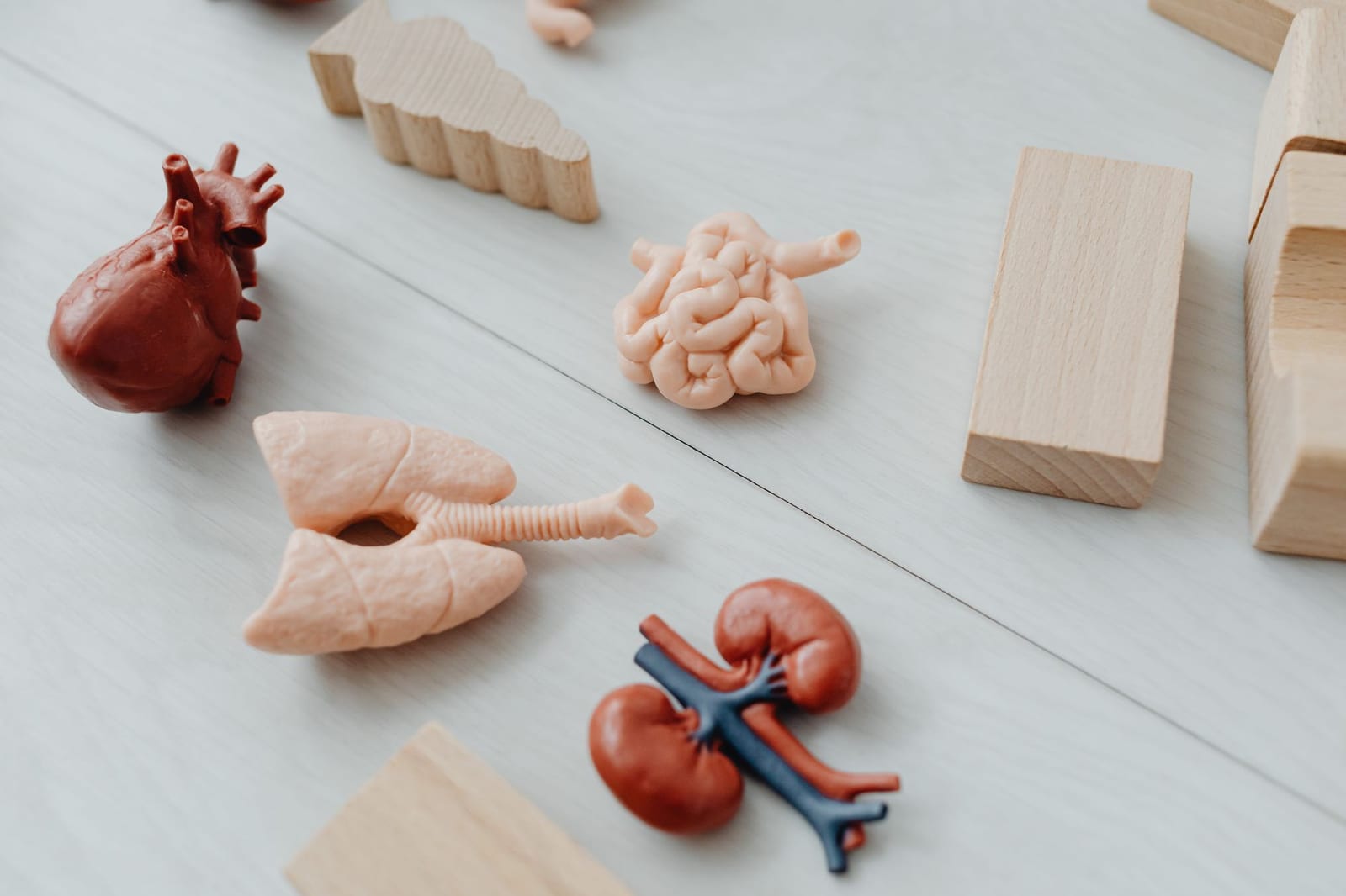 Illustration du Kwiiz Prostate, cystite et incontinence