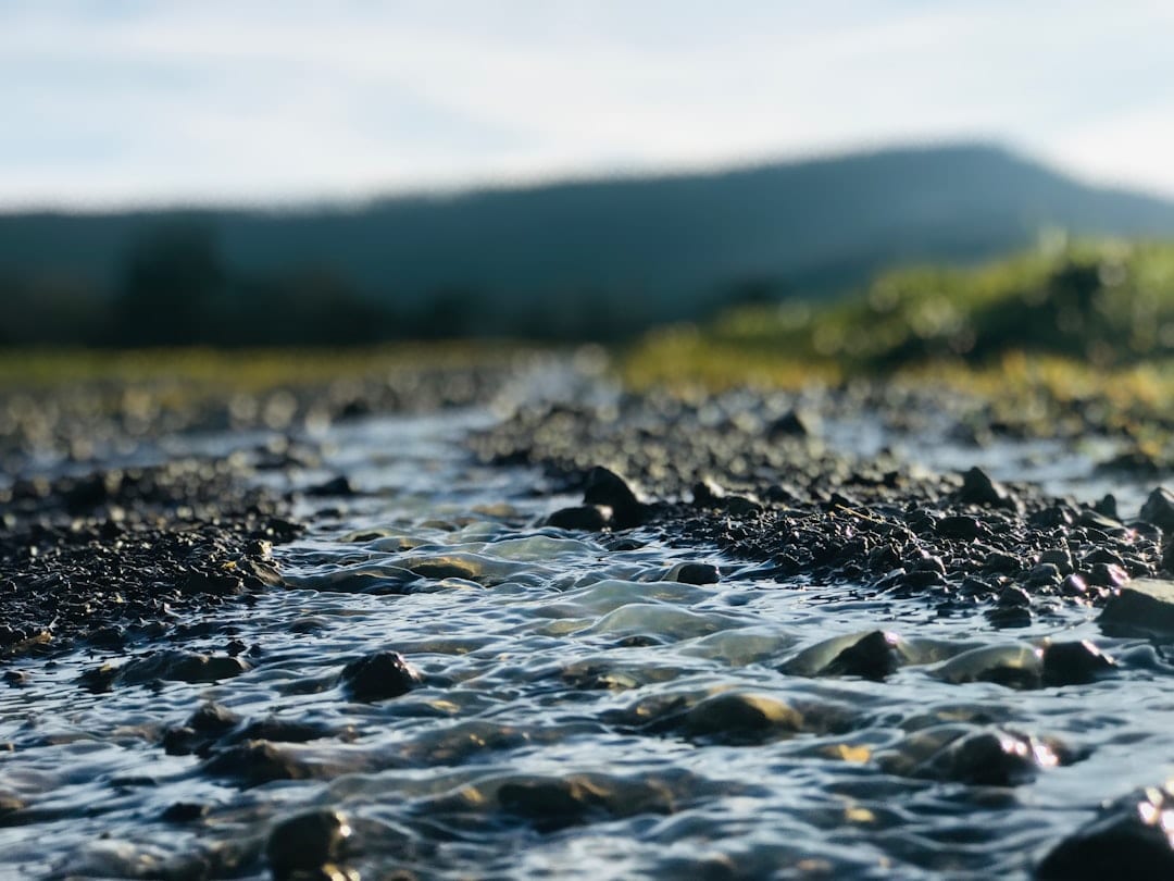 Couverture du quiz L'eau, enjeux et conflits
