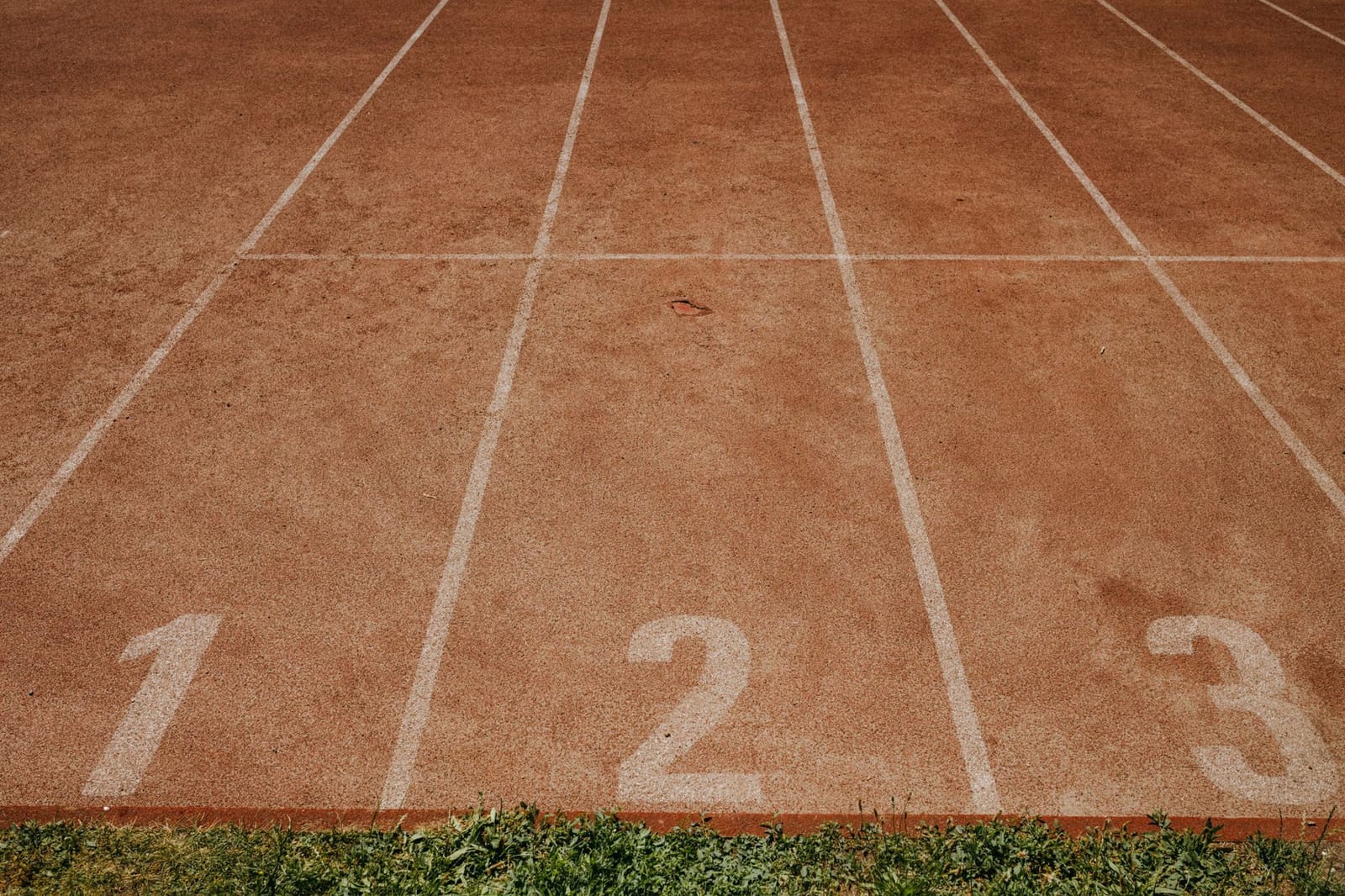 Illustration du Kwiiz Du stade à la piscine